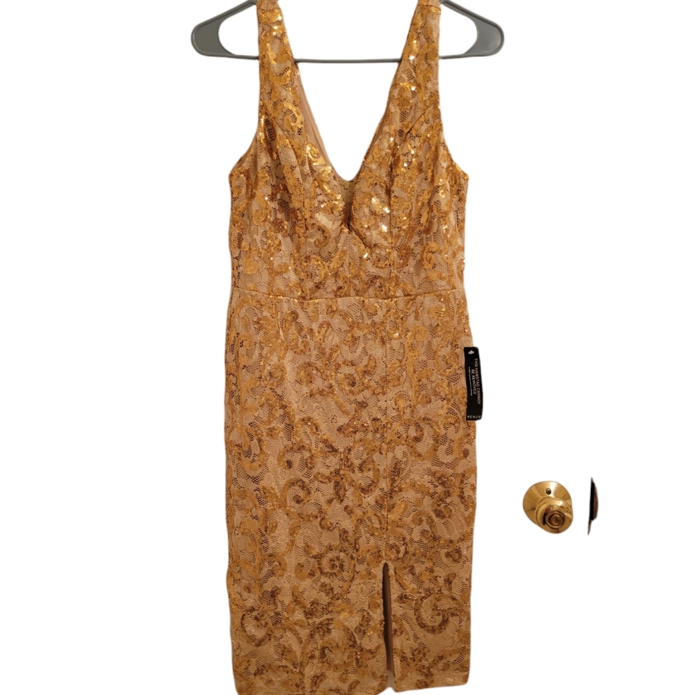 Gold Sequin dress